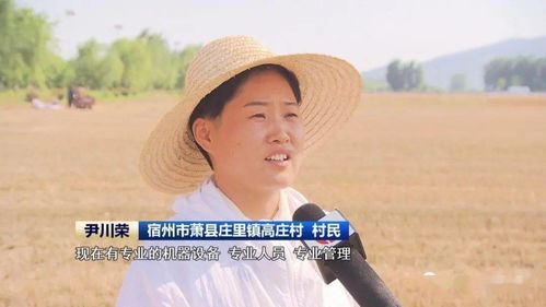安徽 農(nóng)機社會化服務助力夏收提速提質(zhì)，技術推廣是關鍵